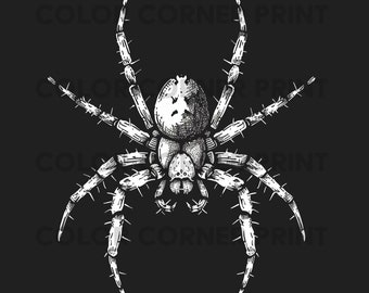 Spider Illustration Goth PNG, Goth Design, Spider Png, Digital Download for sublimation, Transparent Background