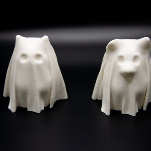 Ghost Cat/Dog