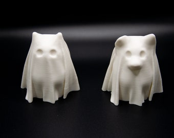 Ghost Cat/Dog