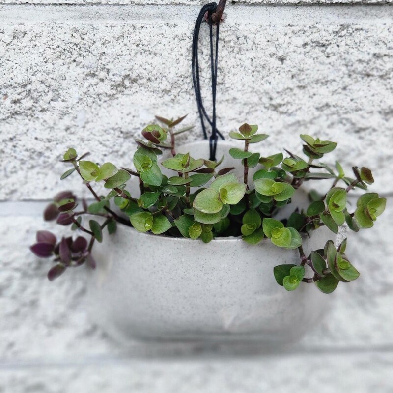 View of Minimalist Ceramic - Etsy
