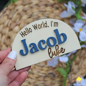 Name Sign ,  Mini Baby Name Sign , Name Announcement   Hello My Name Is , Hello My Name Is Sign ,  Fresh 48 Sign , Name Announcement Sign