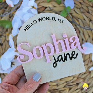 Name Sign,  Mini Baby Name Sign, Name Announcement, Hello My Name Is, Hello My Name Is Sign,  Name Announcement Sign
