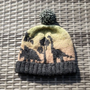Dinosaur Sunset - Kids Hat Knitting Pattern