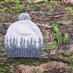 Peut inclure: Un bonnet en tricot gris et blanc avec un pompon sur le dessus. Le bonnet a un motif d'arbres.