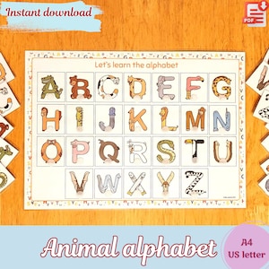 May include: A printable alphabet chart featuring uppercase letters with animal illustrations. Each letter is surrounded by a white border and has a small animal image inside the letter. The chart is titled "Let's learn the alphabet" and has the text "Animal alphabet" at the bottom.