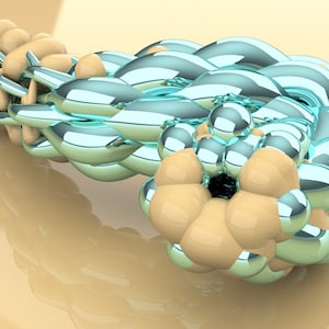 POCZĄTKUJĄCY Kompletny Grasshopper (Gotowy)