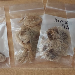 May include: Six clear plastic bags containing different types of beige and brown lace. The bags are labeled with handwritten text: "Graphic", "Lesser Net", "98", "11W M1C", "M1C", and "M1C".