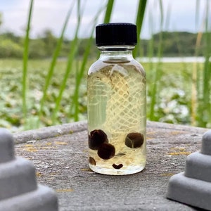 Snake oil