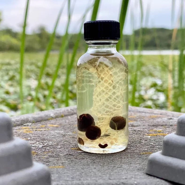 Snake oil