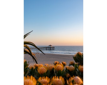 May include: A scenic beach landscape featuring a pier extending into the ocean under a clear blue sky. The foreground is filled with vibrant orange flowers, and the sand is a light tan color. The sky transitions from blue to orange at the horizon.