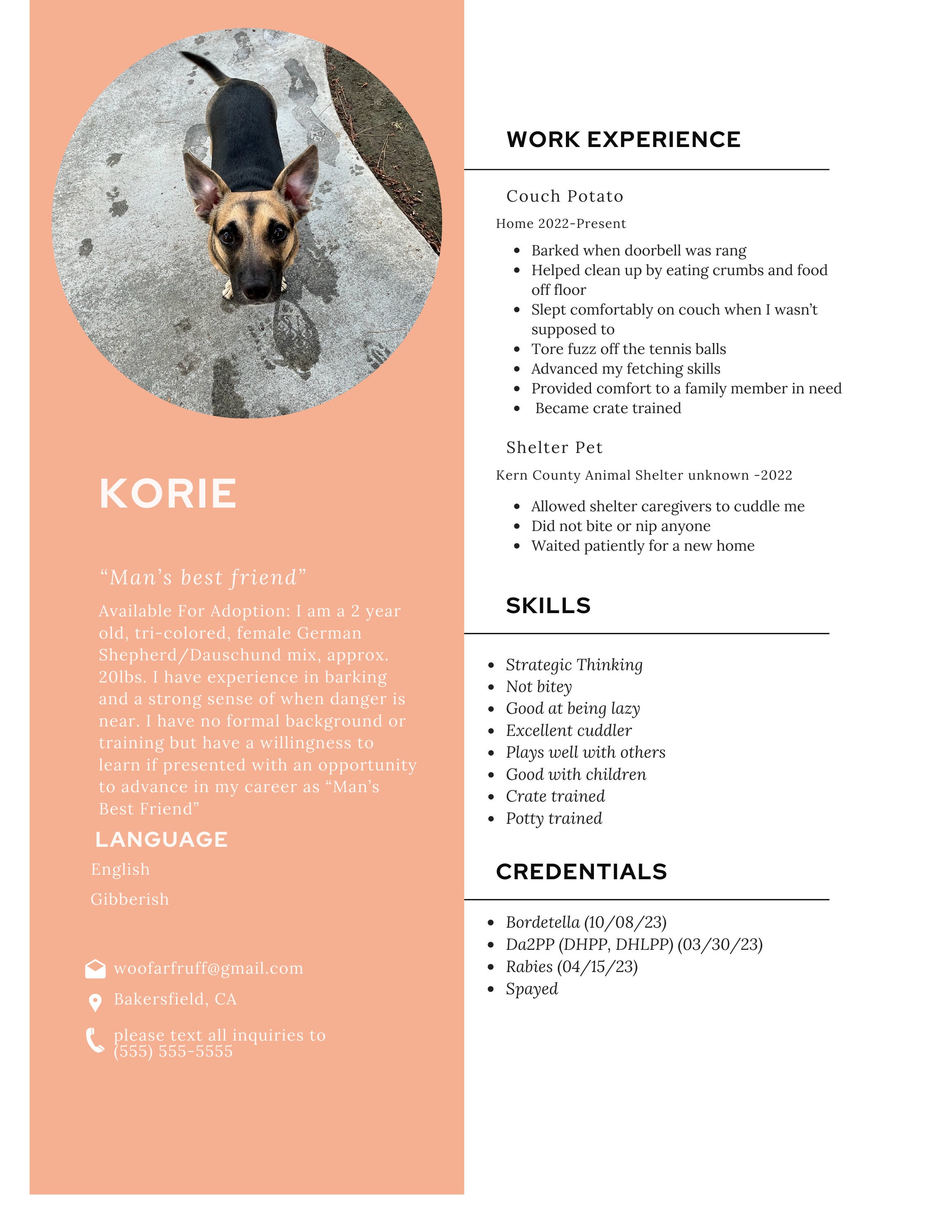 Dog Resume Pet Resume for Rehoming - Il Fullxfull.4848365890 Gh2b 