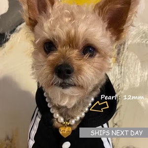 Collier pour chien en perles de cristal : collier gravé personnalisé pour animal de compagnie