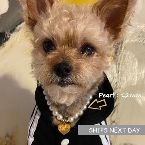 Collare per cani con perle di cristallo: collana per animali domestici con incisione personalizzata