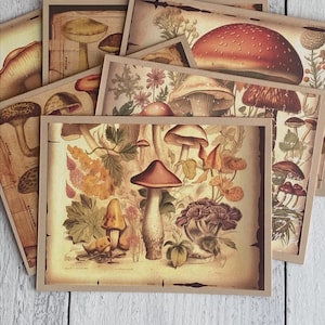 Pilz Grußkarten, Alle Anlass Vintage Karten, Denken an Dich, Danke, Einfach so, Gute Besserung, Handgemacht, 6er Set, 5.5x4.25