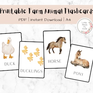 Farm Animals Printable Flashcards, Printable Cards Preschool, Farm Animals Cards, Educational Flashcards, Homeschool Flashcards, 26 animals