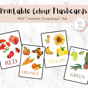Tarjetas didácticas de la naturaleza para colorear / Preescolar / Jardín de infancia / Educación en casa / Tarjetas didácticas Montessori imprimibles / Tarjetas didácticas de colores