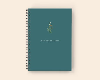 Carnet et planificateur de budget mensuel : Cahier de compte