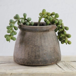May include: A rustic, brown, wooden pot with a wide base and a narrow opening, holding a trailing green succulent plant. The pot has a weathered appearance, suggesting age and use. The succulent has small, rounded leaves.