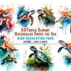 Sea Turtle Clipart Pack Set 20 PNGs of High-Quality Digital Clipart Bundle of Sea Turtles Sublimation Designs - Gift