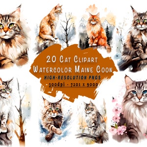 Ensemble de cliparts d'été chats adorables lot de cliparts aquarelle unique de Maine coon à usage commercial, impressions numériques - cadeau