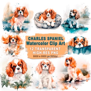 Watercolor Cavalier King Charles Spaniel Clipart Bundle 12 High Quality PNG Watercolor Clipart Designs Commercial Use Included - Gift