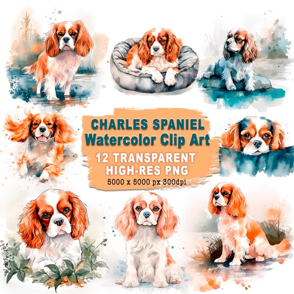 Lot de 12 cliparts Cavalier King Charles Spaniel aquarelle 12 dessins clipart aquarelle PNG haute qualité usage commercial inclus - cadeau