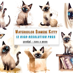 Siamese Kitten Clipart Bundle 12 High Resolution PNG Files for Design and Crafts Nursery Decor Commercial Use - Gift