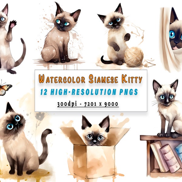 Siamese Kitten Clipart Bundle 12 High Resolution PNG Files for Design and Crafts Nursery Decor Commercial Use - Gift