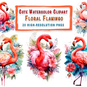 Flamingo Floral Clipart Bundle 20 High Resolution Watercolor Bird and Floral Collection Sublimation Design Crafting Baby Showers - Gift
