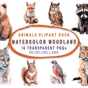 Watercolor Woodland Animals Clipart Nursery Wall Art and Sublimation Designs 16 Transparent Background PNGs For Commercial Use - Gift