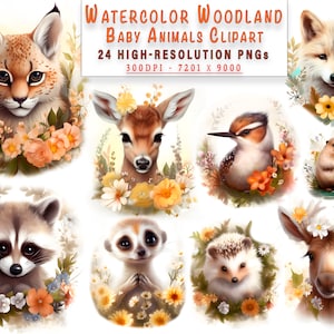 Wald Baby Tiere Clipart Aquarell PNGs Entzückende Waldtiere Kinderzimmer Wandkunst für kommerzielle Nutzung - Geschenk