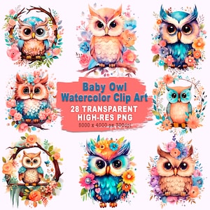 Uroczy pakiet clipartów „Sowa mała” 28 plików PNG w wysokiej rozdzielczości, idealnych do sublimacji i cyfrowego scrapbookingu — prezent