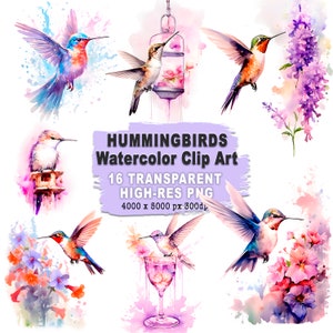 Hummingbird Floral Clipart Bundle Watercolor  Lilac  PNG Sublimation Design Commercial Use 16 High Resolution - Gift