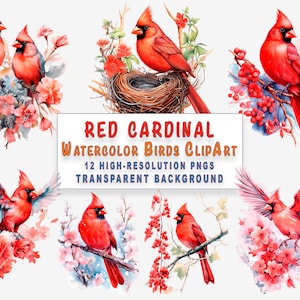 Red Cardinal Bird Nursery Watercolor Clipart Pack 12 High Resolution Transparent PNG Crafts Sublimation Design Commercial Use Clipart - Gift