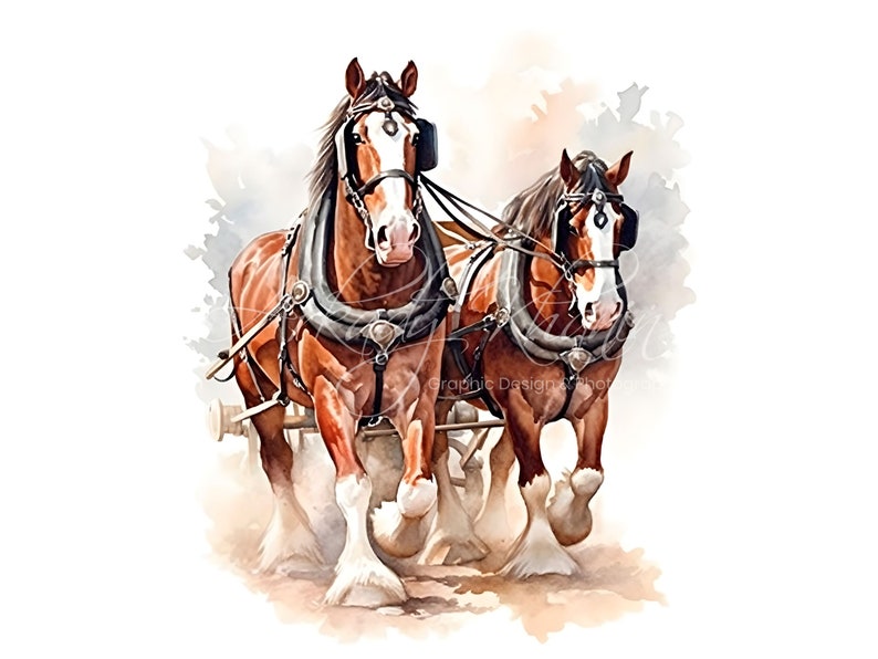 Vintage Western Horse Clipart Set Watercolor JPG Designs for Sublimation and Crafting Commercial Use Included Gift image 5