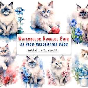 25 adorables cliparts aquarelle chat ragdoll pour travaux manuels et usage commercial, décoration de chambre d'enfant - cadeau