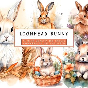 Bunny Cute Rabbit Illustrations Collezione di clipart ad acquerello JPG di alta qualità Decorazioni per la cameretta dei bambini Decorazioni da parete per bambini - Regalo