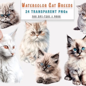 Cat Breed Watercolor Clipart Pack 24 PNG Transparent Background Digital Download for Commercial Use - Gift