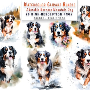Printable Dog Portrait Clipart Bundle - 20 High Resolution Bernese Mountain Dog PNGs for Instant Download, Crafting, Commercial Use + Gift