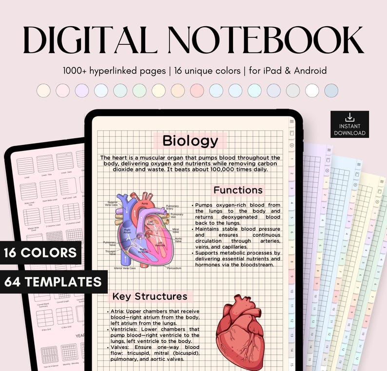 May include: A digital notebook template for iPad and Android with 16 colors and 64 templates. The template features a biology lesson about the heart with a diagram of the heart and its functions. The text on the page reads "Biology, The heart is a muscular organ that pumps blood throughout the body, delivering oxygen and nutrients while removing carbon dioxide and waste. It beats about 100,000 times daily. Functions, Pumps oxygen-rich blood from the lungs to the body and returns deoxygenated blood back to the lungs. Maintains stable blood pressure and ensures continuous circulation through arteries, veins, and capillaries. Supports metabolic processes by delivering essential nutrients and hormones via the bloodstream. Key Structures, Atria: Upper chambers that receive blood-right atrium from the body, left atrium from the lungs. Ventricles: Lower chambers that pump blood-right ventricle to the lungs, left ventricle to the body. Valves: Ensure one-way blood flow: tricuspid, mitral (bicuspid), pulmonary, and aortic valves."