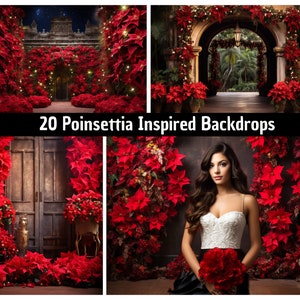 20 cenários inspirados em poinsétias digitais para fotografia e eventos, cenários para festas, inspiração para viagens, convites, fotos de estúdio