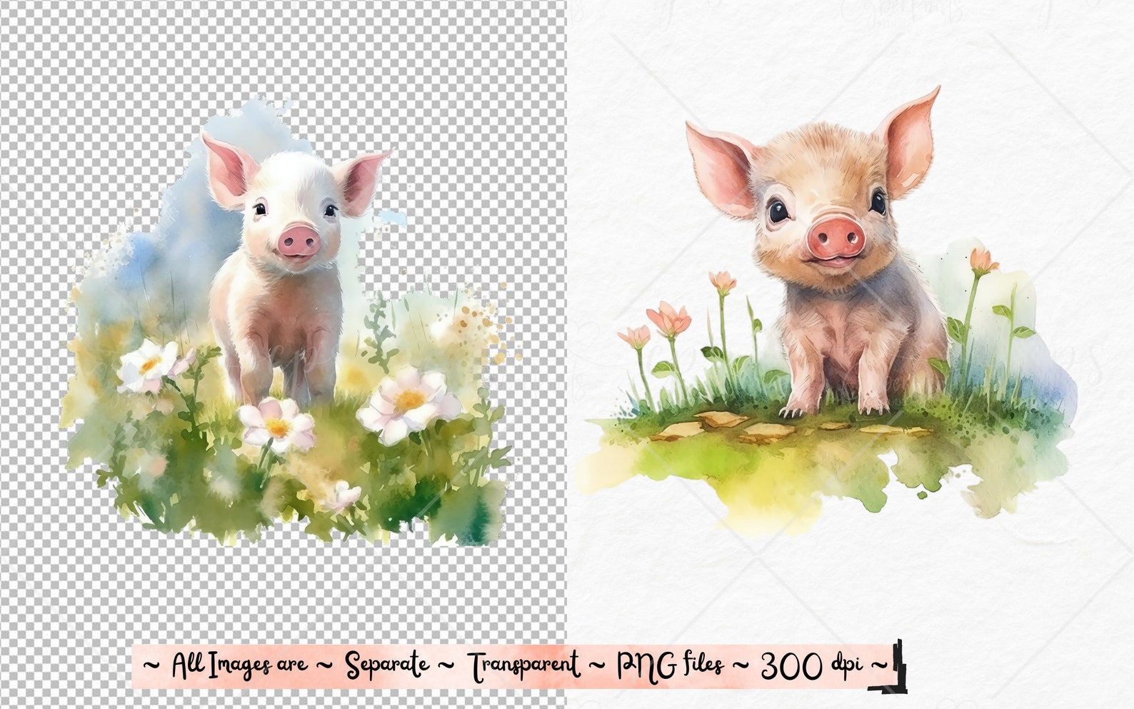 Watercolor Pig Clipart Piglet Clipart Pig Sublimation Designs PNG ...