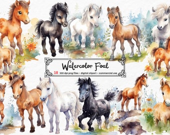 Watercolor Foal Clipart Horse Clipart Horse Sublimation Designs PNG Format Instant  Download - Card Making, Clip Art, Digital Paper Craft