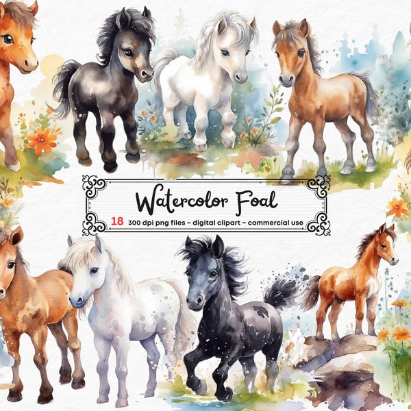 Watercolor Foal Clipart Horse Clipart Horse Sublimation Designs PNG Format Instant  Download - Card Making, Clip Art, Digital Paper Craft