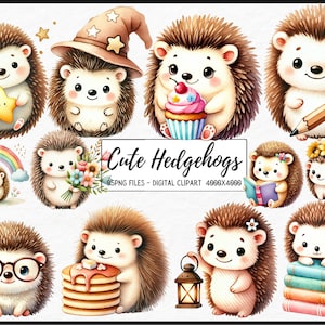 Niedliche Igel Clipart, Igel Clipart Bundle, Igel PNG, niedliche Tier Clipart, süße Tiere, transparenter Hintergrund, digitaler Download