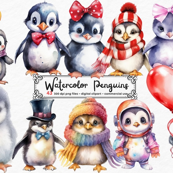 Aquarell Pinguin Clipart, Pinguin Clipart, Pinguin Herz png, Aquarell Clipart, Winter Pinguin, Schal, niedlicher Pinguin, Weihnachten.