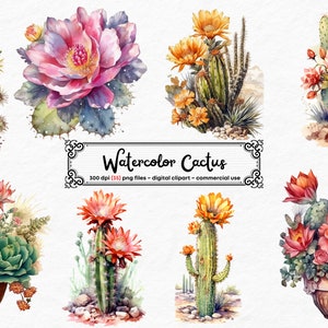 Acuarela Cactus Clipart PNG, Desert Cacti PNG Imprimible Cactus Arte Impresión Uso Comercial Diario Basura Descarga Instantánea