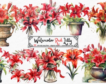 Watercolor Red Lilly Clipart - Red Lillies in PNG format instant download for commercial use, Lilly Vase, Lilly scrapbooking