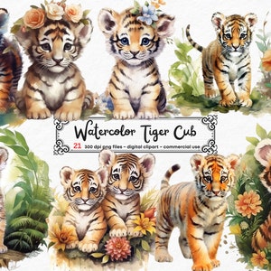 Baby Tiger Cute tiger clipart, Little Tiger Animals PNG Flowers Adorable Sublimation Printable Zoo Animals