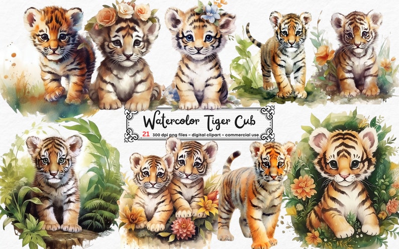 K&ouml;nnte beinhalten: Ein Set mit 21 Aquarell-Illustrationen von Tigerjungen in verschiedenen Posen, umgeben von &uuml;ppigem Gr&uuml;n und Blumen. Die Illustrationen sind perfekt f&uuml;r die Erstellung digitaler Designs, Einladungen und anderer kreativer Projekte.